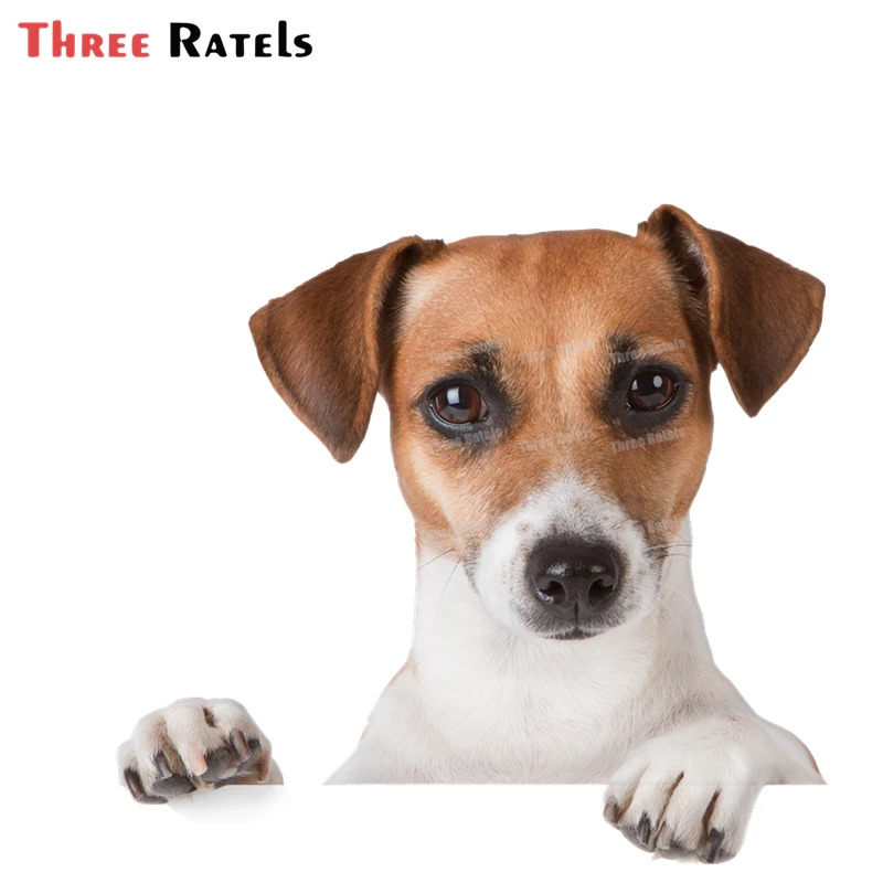 Ratels A93Funny 3D Jack Russell Terrier Dog Motorcycle Bike Stickers  Car Stylin - £56.64 GBP