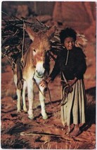 Postcard Navajo Lass &amp; Her Burro Arizona - $3.95