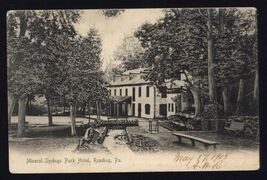 1905 MINERAL SPRINGS PARK HOTEL READING PA * UDB posted no stamp May 17,... - $4.90