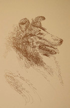 Collie Dog Art Portrait Print #56 Kline adds dog name free. Drawn from w... - $49.45