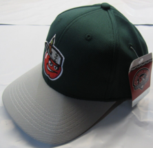 Minor League Baseball Raised Replica Hat Fort Wayne Tin Caps Style MIN 350 Adult - £15.71 GBP