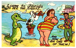 I Came To See the Sights and Now I Am One Of Them Florida Postcard Posted 1976 - £30.43 GBP