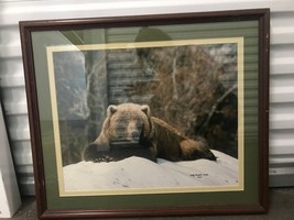 Kathy Dawson 1984 Signed Wildlife Photo of Brown Bear in Snow Framed - £39.56 GBP