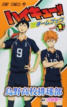 Haikyu!! TV Anime Team Book Vol.1 Haruichi Furudate Comic Japan - £20.90 GBP