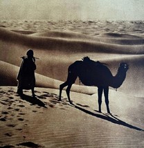 Arab Messenger Camel Crossing Egypt Desert 1920s North Africa GrnBin1 - $39.99