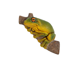 Small Tree Frog Life Size Statue - £126.80 GBP