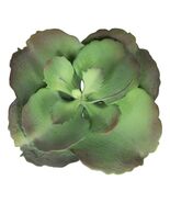 Pack of 6 Realistic Lifelike Artificial Lilacina Paddle Desert Plant Suc... - €93,89 EUR