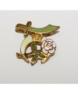 Masonic Daughters Of The Nile DOFN Shriners Enamel Brooch Pin - $24.99