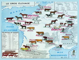 Wall Decor Poster.Interior home.Room art design.Horses cows in France map.11591 - £14.27 GBP+