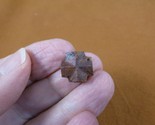 (CR592-106) 9/16&quot; Fairy Stone CHRISTIAN CROSS oiled Staurolite Crystal M... - £11.88 GBP