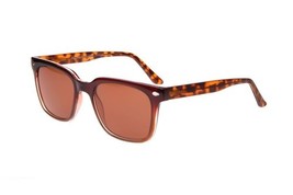 New Success Sun#5 Crystal Brown Gradient Sunglasses with Brown Lenses - $44.50