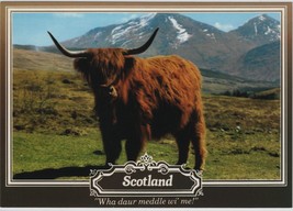 Postcard &quot;Wha Daur Meddle Wi&#39; Me&quot; Scotland Highland Cow (C1) - £3.52 GBP