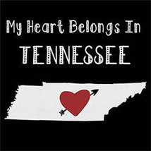 Tennessee  cool men t-shirt states  tshirt homeland home state city  t-shirts ho - £15.88 GBP