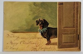 Christmas Adorable DACHSHUND Holly Collar 1907 Morton PA Mailick Postcard T9 - £31.59 GBP