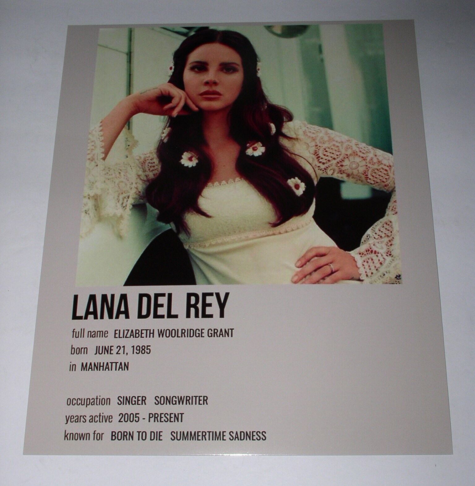 Lana Del Rey Poster Card Biography 8X10 Color Glossy New Condition - $7.99
