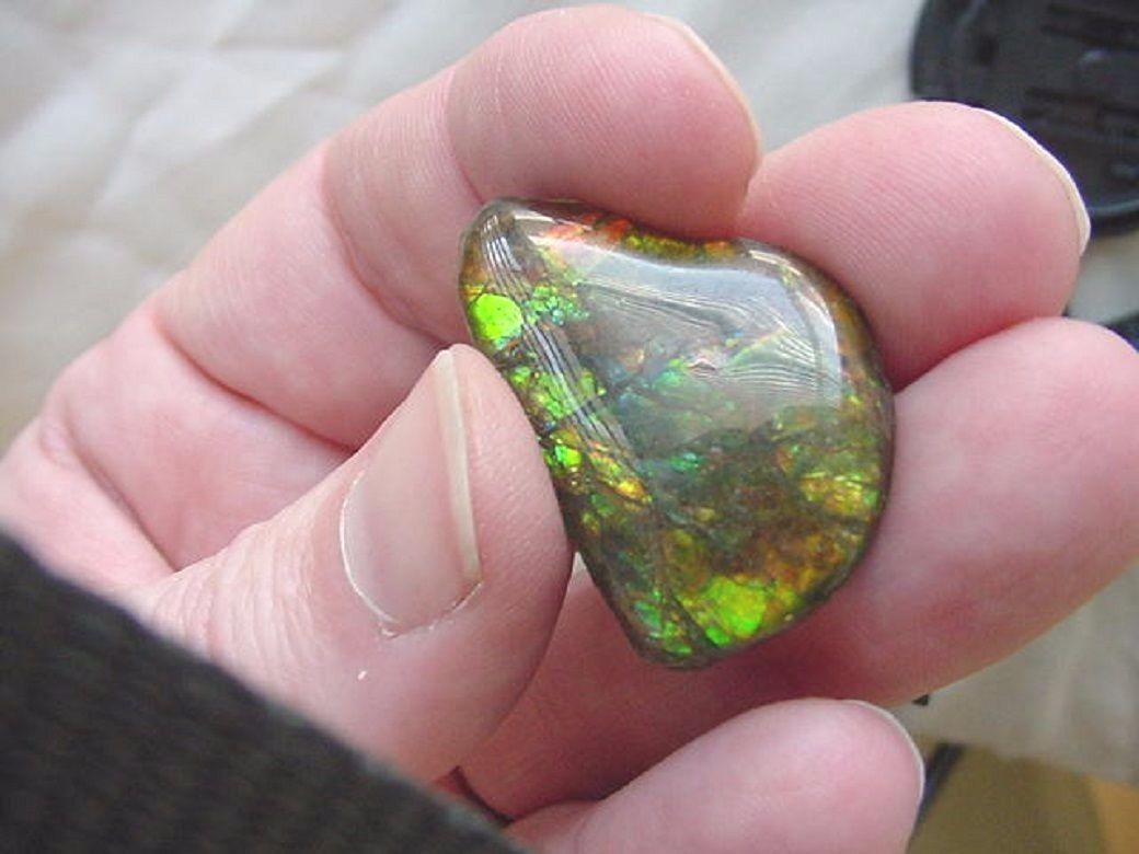 Primary image for (J-482) Green with orange teardrop Ammolite fossil shell loose cabochon ammonite