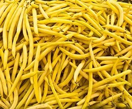 50 Cherokee Yellow Wax B EAN Bush Bean Phaseolus Vulgaris Vegetable Seeds - $4.99