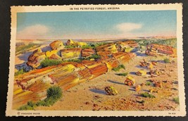 1940&#39;s Petrified Forest Arizona Linen Postcard - £3.15 GBP