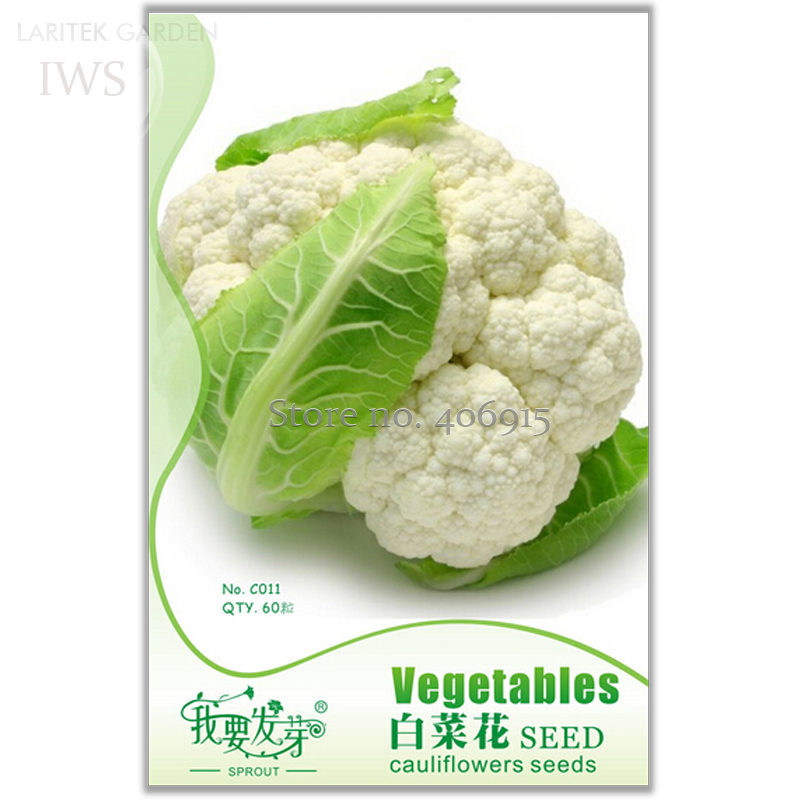 White Cauliflower Vegetable Bonsai 60 Seeds Fresh - $3.46