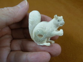 squir-w7 little Squirrel + nut of shed ANTLER figurine Bali detailed car... - £43.02 GBP