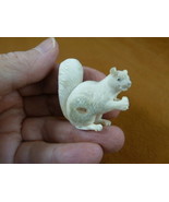 squir-w7 little Squirrel + nut of shed ANTLER figurine Bali detailed car... - €46,74 EUR
