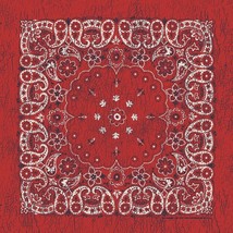 Carolina Creative Bandanna (Red/Indigo) Rustic Paisley 27&quot; x 27&quot; - £6.46 GBP