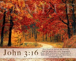 Bible Scripture Picture John 3:16 (8X10) New Fine Art Print Photo Verse ... - £3.94 GBP