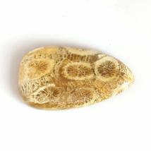 16.73 Carats TCW 100% Natural Beautiful Fossil Coral Pear cabochon Gem by DVG - £12.48 GBP