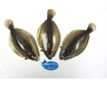 8&quot; Artificial Soft Plastic Flounder Sand Dab Fluke Lure Bait Spotted 3 Pack - £14.54 GBP