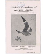 Audubon Society 1903 Educational Leaflet No 1 Nighthawk Bull-Bat Mosquit... - $2.05