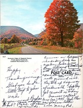 New York Catskill Mountains Westkill Notch Autumn Fall Written On VTG Postcard - £7.47 GBP
