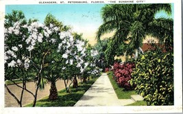 Oleanders St Petersburg Florida the Sunshine City Postcard Posted 1931 - £9.26 GBP