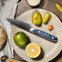 Premium Paring Knife 3 Inch Damascus Blade Chef Kitchen Knife Fruits Vegetables - £24.40 GBP