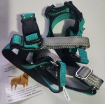 PetSafe Easy Walk Padded Dog Harness in Teal &amp; Gray Size Medium - £21.91 GBP