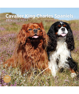 2024 Cavalier King Charles Spaniels Monthly Wall Calendar by Bright Day,... - £8.83 GBP
