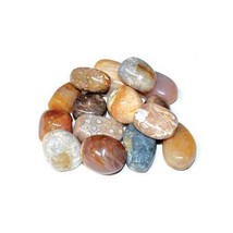 1 Lb Coral, Fossil Tumbled - £55.85 GBP