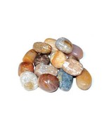 1 Lb Coral, Fossil Tumbled - £55.72 GBP