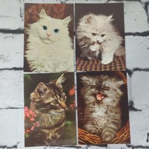 Kittens Cats Vintage Postcard Lot of 4 - £9.46 GBP