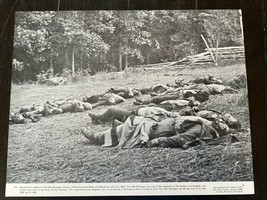 Civil War Western 14X11 Print Documentary Photo Aid Luis Aviles Gettysburg Dead - £15.49 GBP