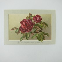 Victorian Greeting Card New Years Red Rose Flowers Hildesheimer Faulkner Antique - £4.71 GBP