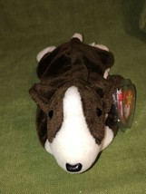 Beanie Baby Bruno the Dog 1997 Retired with Ty tag - £15.44 GBP