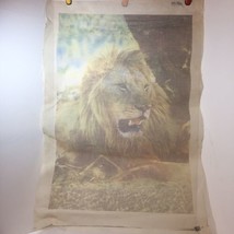 Lion Needlepoint Canvas 12 Mesh 24&quot; x 35&quot; - $39.58
