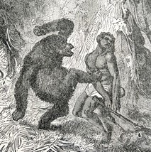 Orangutan Killing A Hunter 1887 Wood Engraving Victorian Great Ape Art DWEE23 - £46.41 GBP