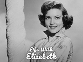 Life With Elizabeth (Rare 6 DVD Disc Set) * Betty White * 68 Episodes - £23.56 GBP