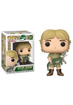 Funko Pop! TV: Crocodile Hunter - Steve Irwin Vinyl Figure (Styles May V... - $16.54