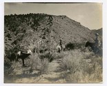 Prospectors Horses Mules San Matias Pass San Felipe Desert Mexico Photo ... - $496.24