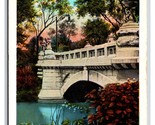 Cement Bridge Garfield Park Chicago Illinois IL UNP WB Postcard W1 - $2.92