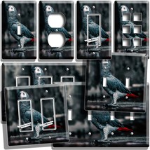 African Grey Red Tail Parrot Bird Light Switch Outlet Wall Plates Pet Room Decor - £14.38 GBP+