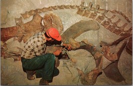 Reliefing Fossil Dinosaur Bone Dinosaur National Moument Utah Postcard PC400 - £3.98 GBP