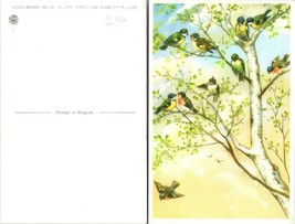 New York(NY) Long Island City Alfred Mainzer Birds in Birch Tree VTG Postcard - £7.39 GBP